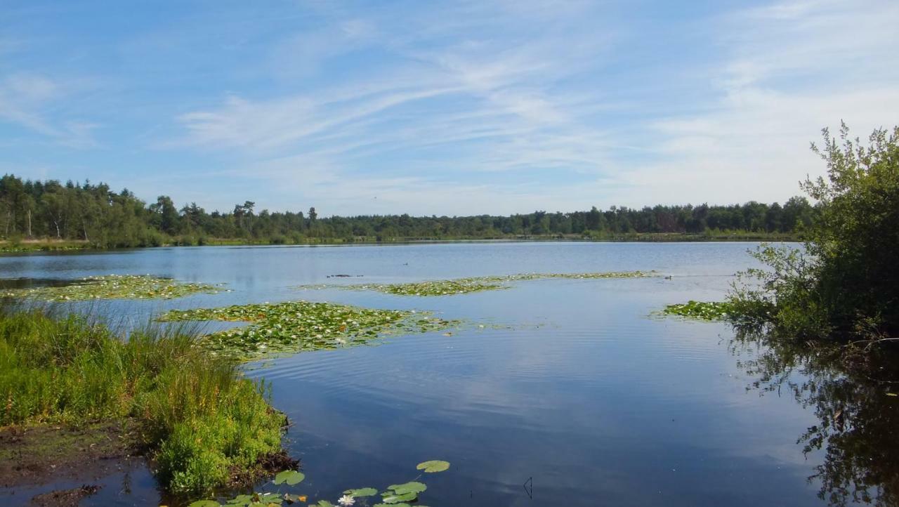 Gastenverblijf 'T Nagtegaeltje Sint-Oedenrode Exteriér fotografie