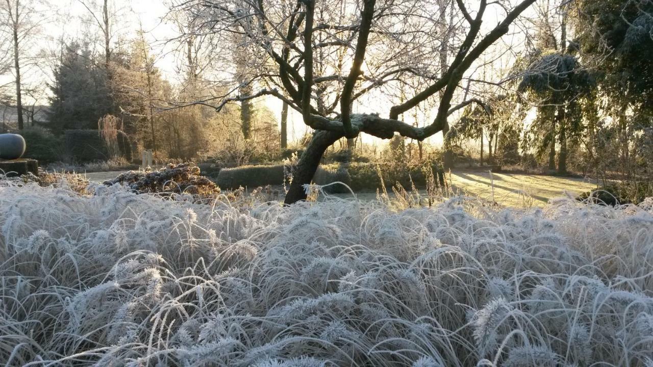 Gastenverblijf 'T Nagtegaeltje Sint-Oedenrode Exteriér fotografie